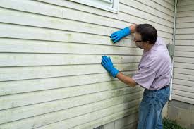 Professional Siding in Coloma, MI